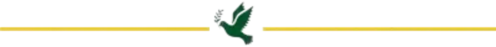 diseño funeraria nuevo mundo