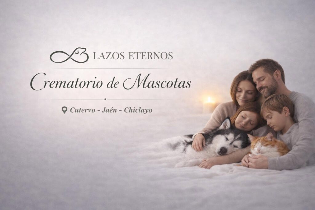 crematorio de mascotas en asociación con funeraria nuevo mundo